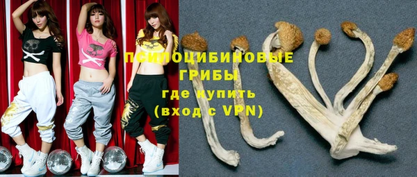 кокс Абдулино