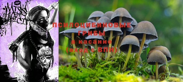 соль ск Абаза